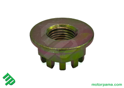 dado falangiato (2)3